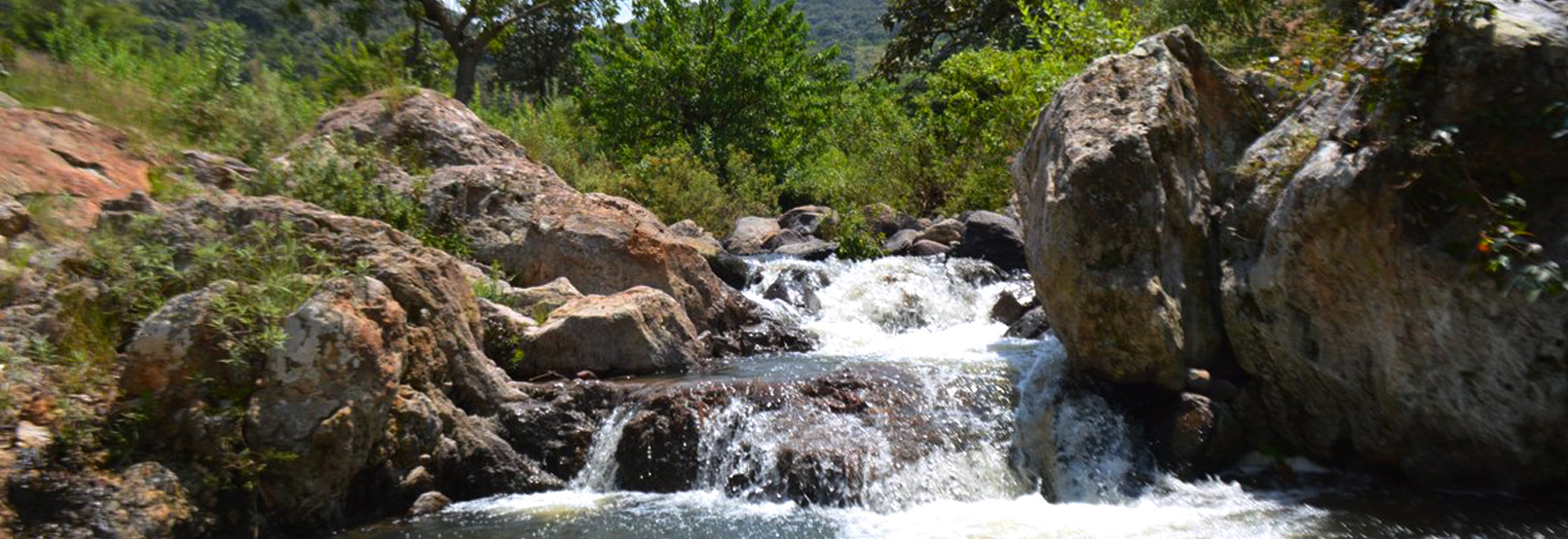 artesanías de sinaloa